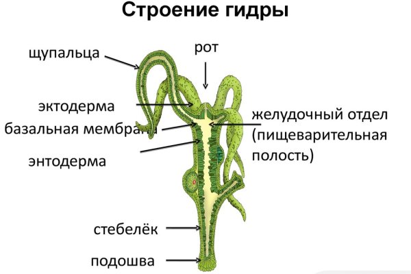 Кракен ссылка в тор